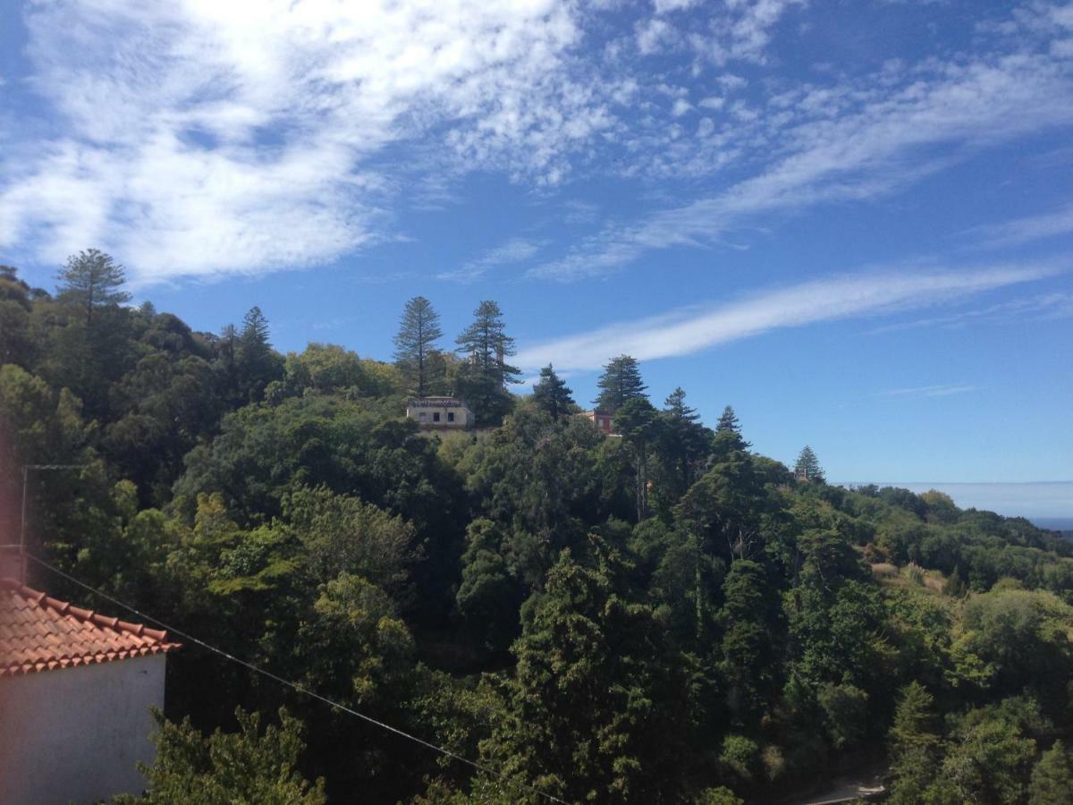 Apartamento Casas Do Pátio Sem Cantigas 4 Sintra