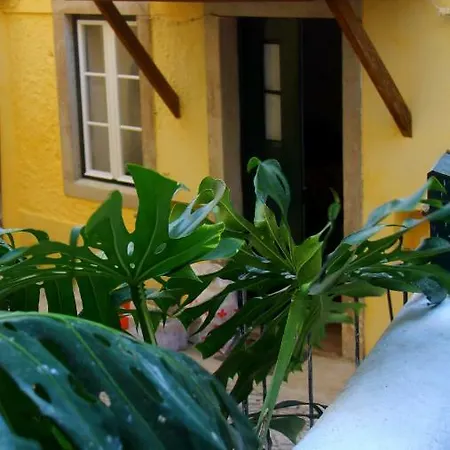 Casas Do Patio Sem Cantigas 4 Sintra Exterior photo
